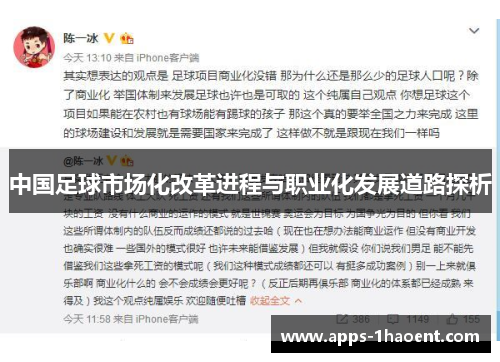 中国足球市场化改革进程与职业化发展道路探析