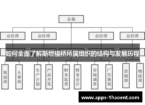 如何全面了解斯坦福桥所属组织的结构与发展历程