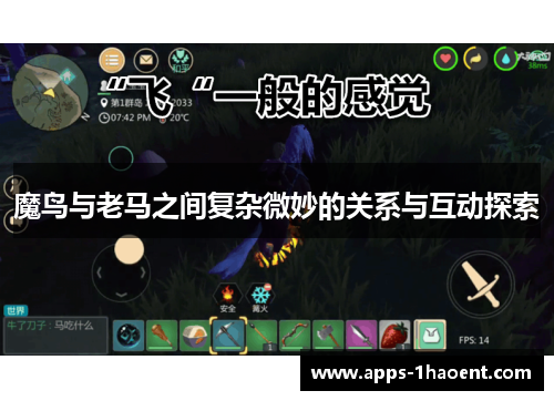 魔鸟与老马之间复杂微妙的关系与互动探索