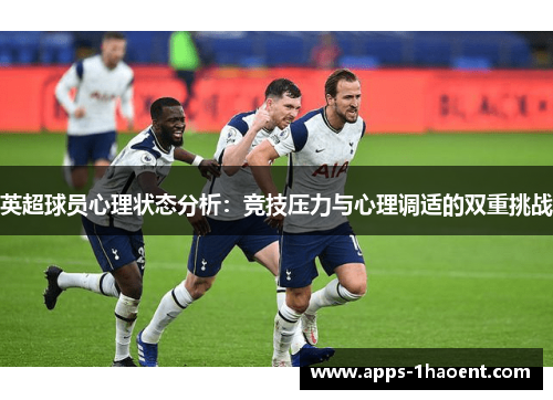 英超球员心理状态分析:竞技压力与心理调适的双重挑战 英超球员心理状态分析:竞技压力与心理调适的双重挑战
