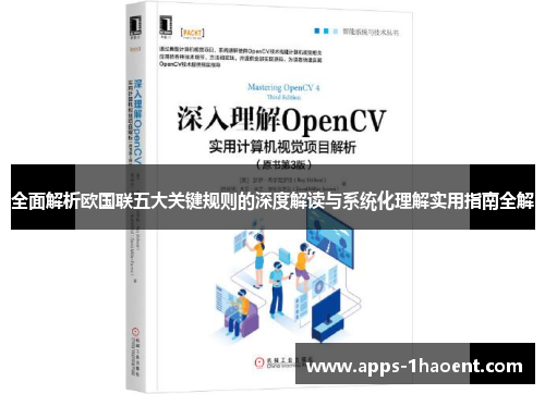 全面解析欧国联五大关键规则的深度解读与系统化理解实用指南全解 全面解析欧国联五大关键规则的深度解读与系统化理解实用指南全解