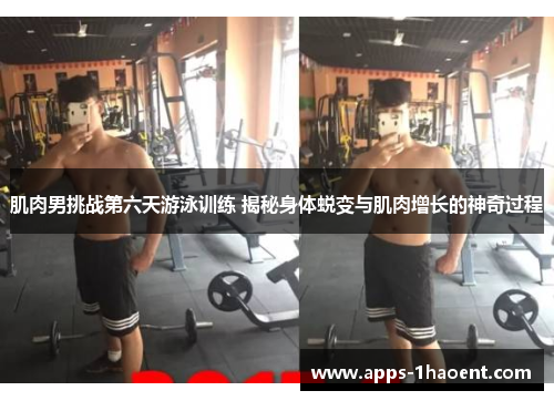 肌肉男挑战第六天游泳训练 揭秘身体蜕变与肌肉增长的神奇过程