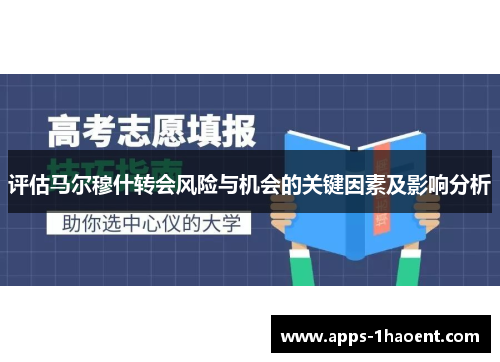 评估马尔穆什转会风险与机会的关键因素及影响分析