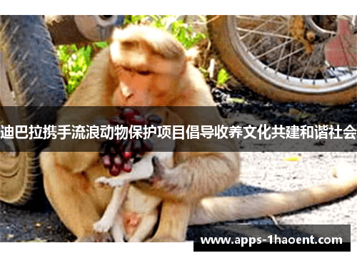迪巴拉携手流浪动物保护项目倡导收养文化共建和谐社会 迪巴拉携手流浪动物保护项目倡导收养文化共建和谐社会